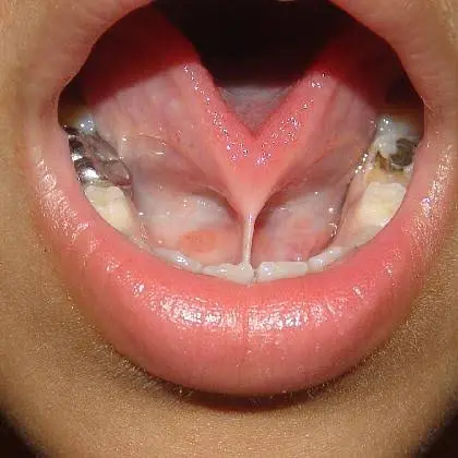 Sheridan Garden Dental