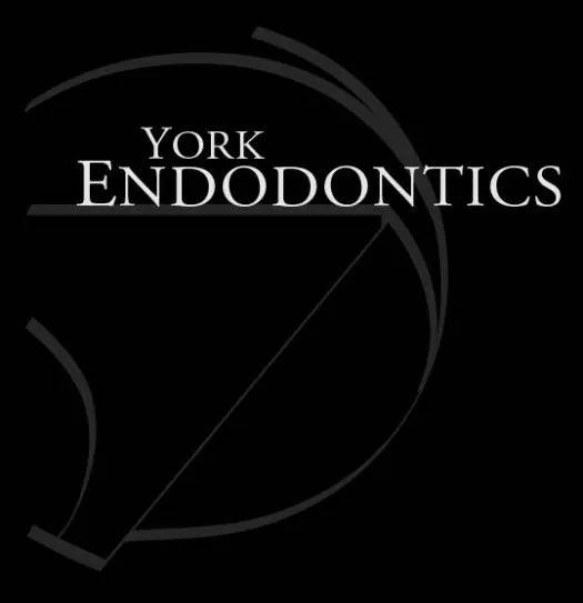 York Endodontics Microsurgery Center - Dr. Daniel C.S. Leung