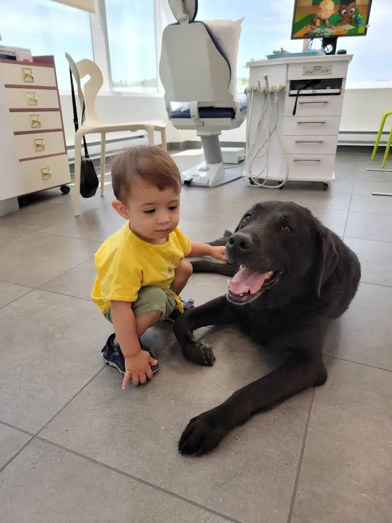 Kids Dental Group - Richmond Hill