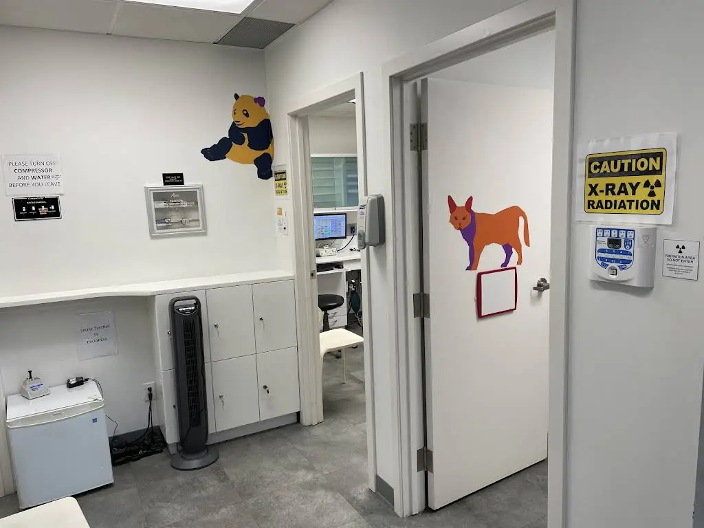 Kids Dental Group - Richmond Hill