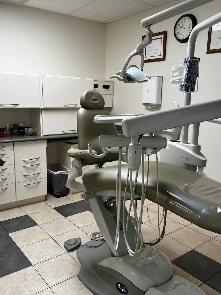 Dr Svetlana Shtepa & Associates