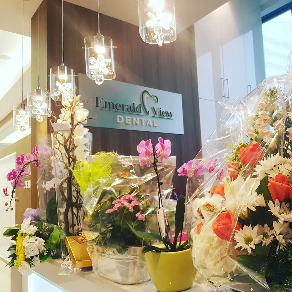 Emerald View Dental
