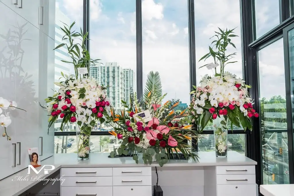 Emerald View Dental