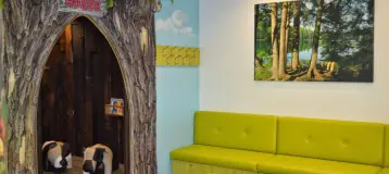 Burlington Pediatric Dentistry