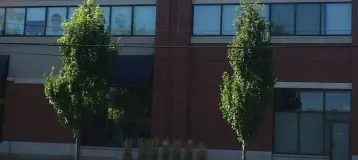 Appleby Dental Clinic