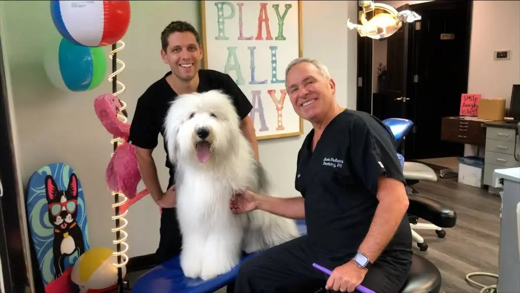 Pediatric Dentistry West: Dr. Bozic and Associates