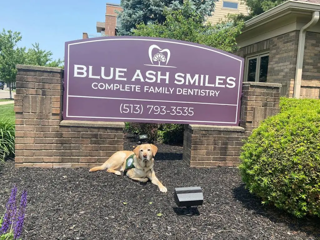 Blue Ash Smiles