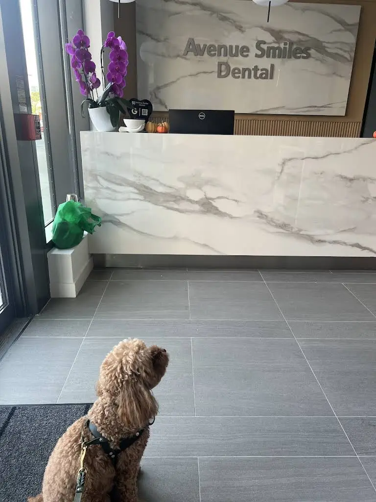 Avenue Smiles Dental