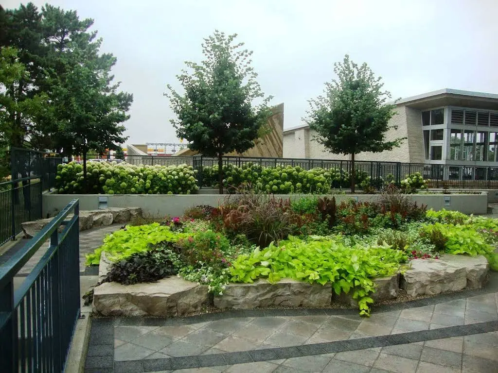 Altima Bayview Village Dental Centre