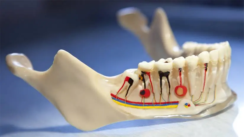 Smiles Dentistry