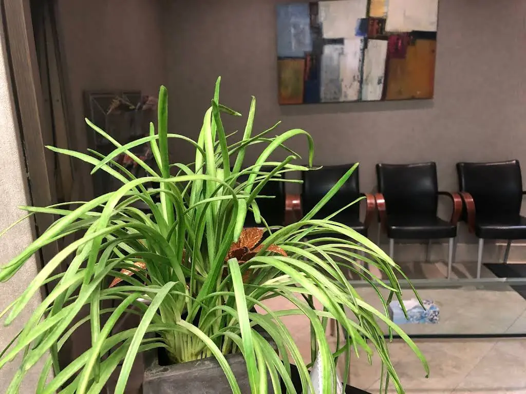 Fairview Dental Group