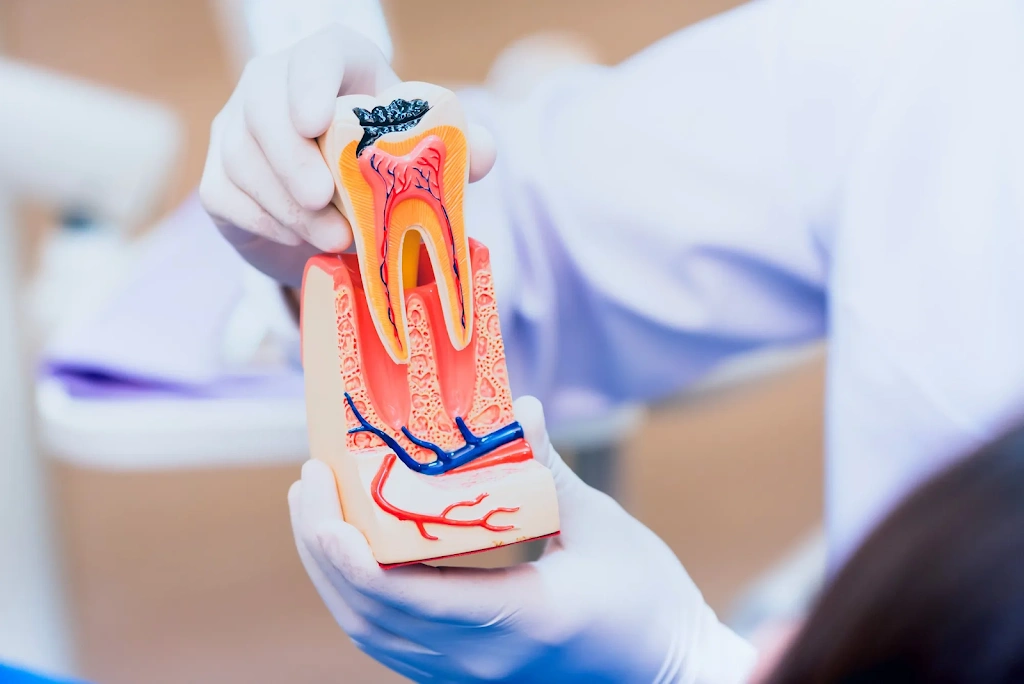 Forest Manor Dental