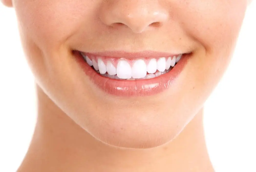Stony Brook Dental Care