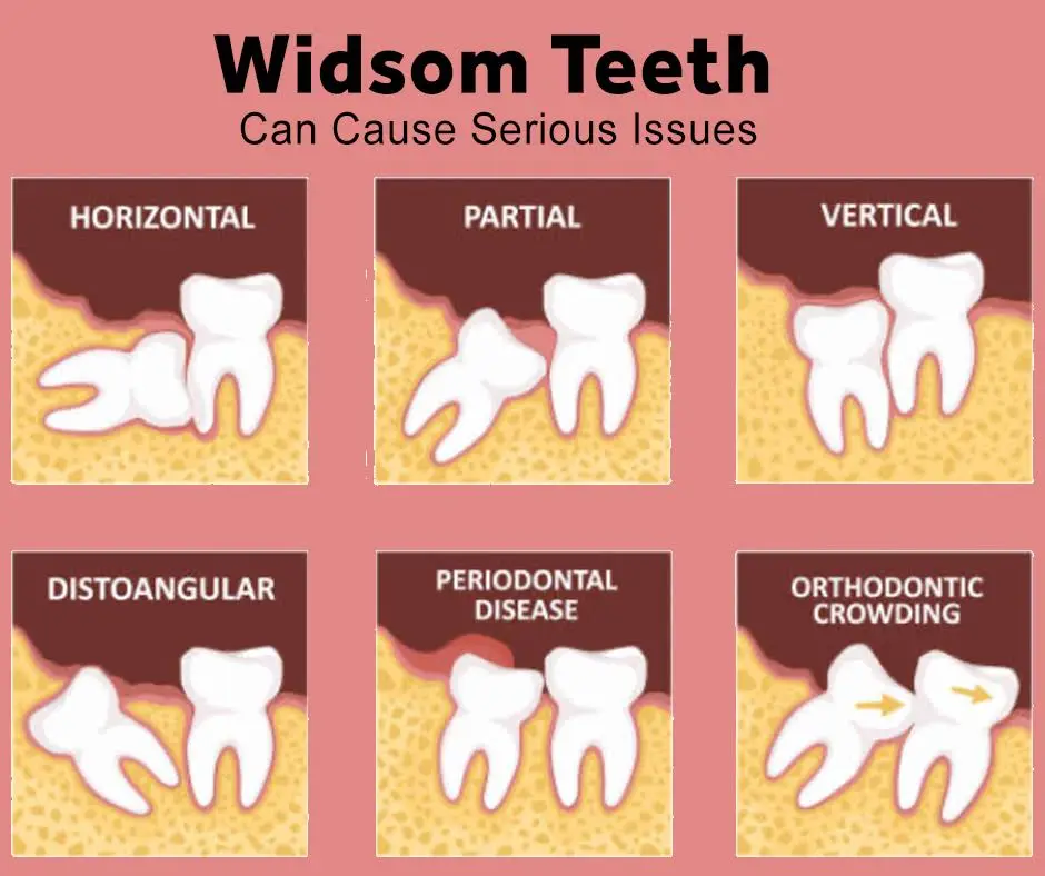 Avon Dental Arts