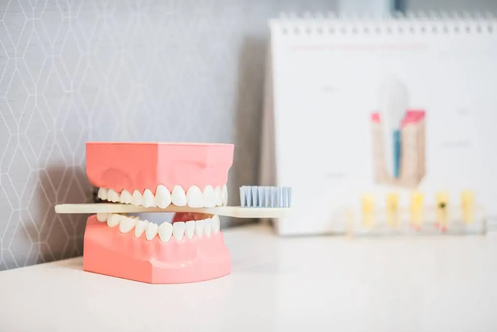 Mimico Creek Dental