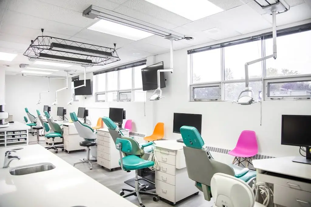 Kids Dental Group - Markham