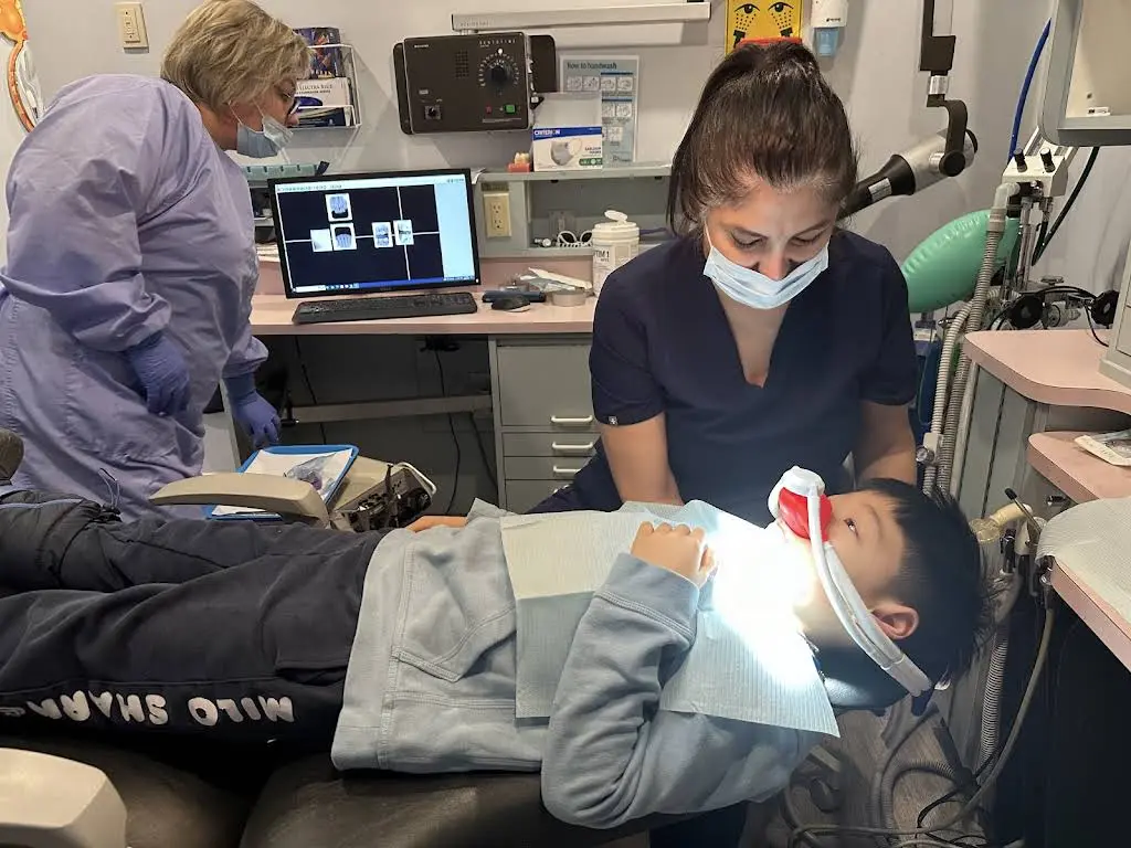 Apple Tree Dental For Kids, Willowdale