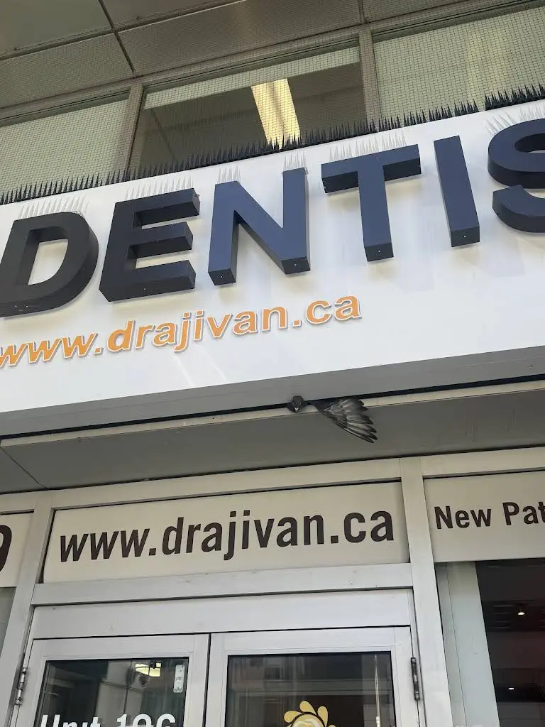 Dr. Anca Jivan Dental Office