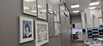 Dupont Dentistry