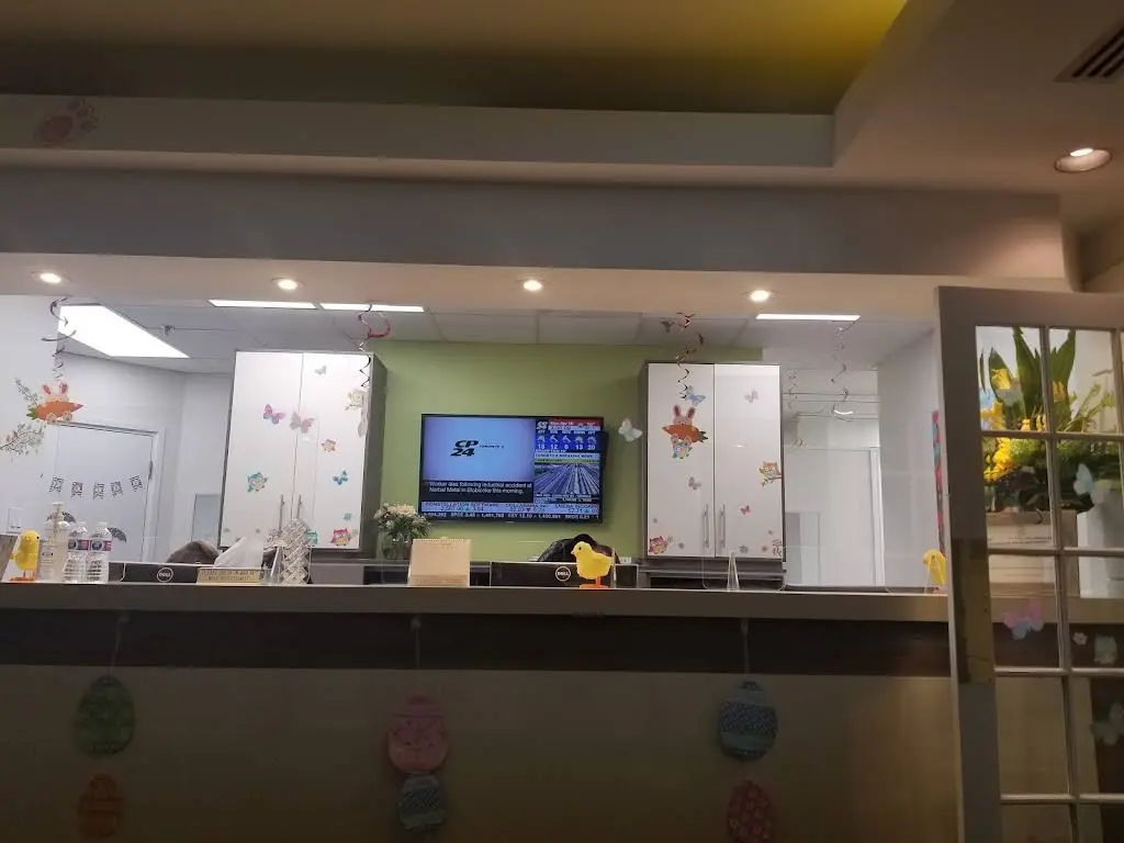 Treehouse Dental Care - Toronto