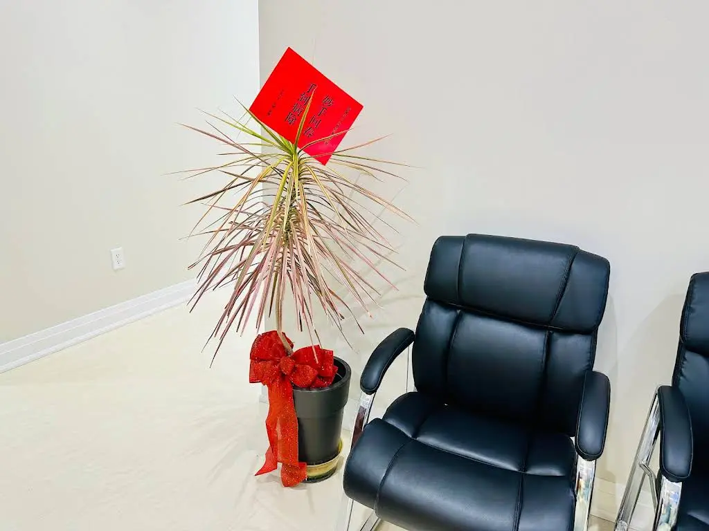 Dr. Tony He Dental Clinic