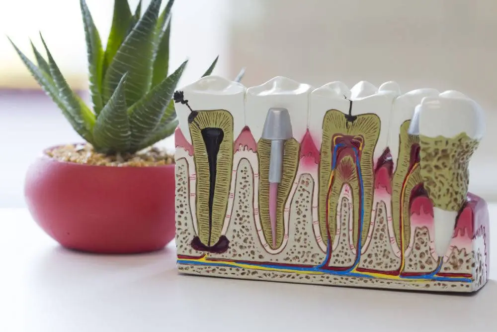 Hernandez Dental Care