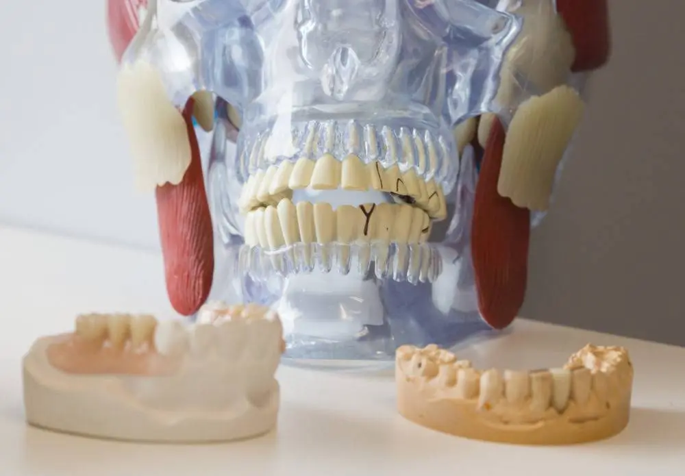 Hernandez Dental Care