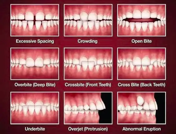 Kemper DMD Pediatric Dentistry