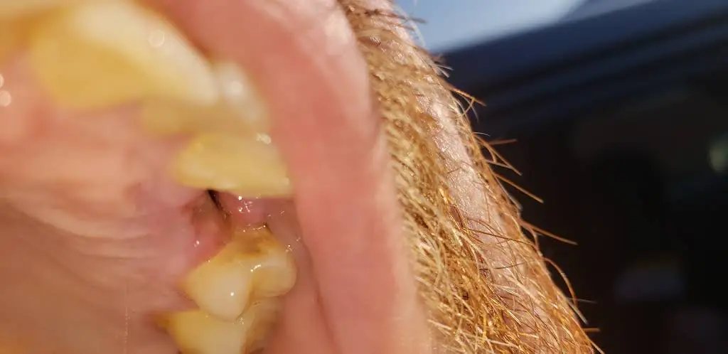 Watson Dental LLC