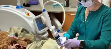 Brecksville Kids Dentistry