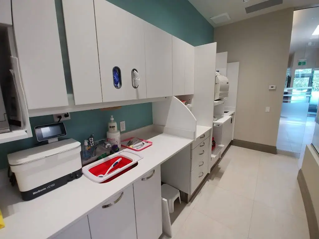 Vita Dentistry