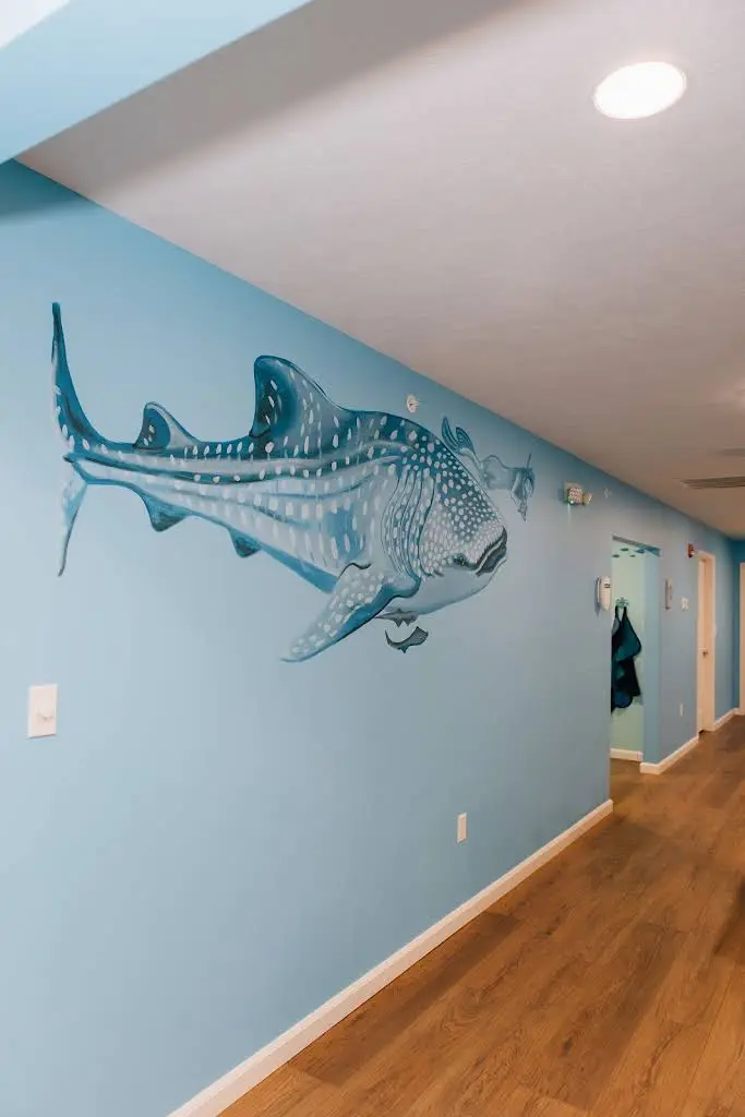 Seng Pediatric Dentistry