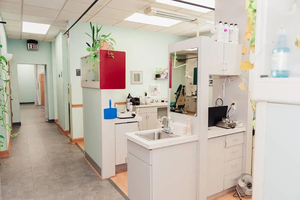 Schulte Family Dentistry