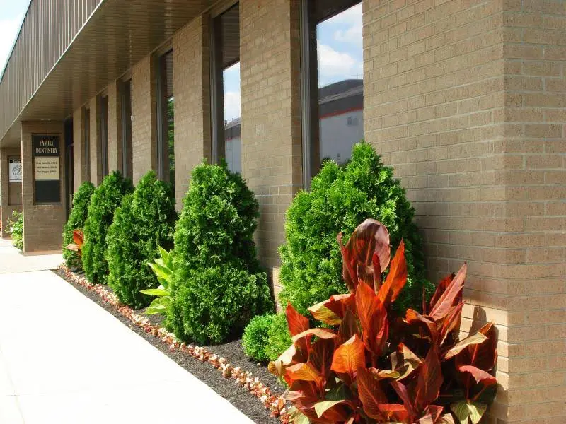 Nunnally Dentistry & Associates