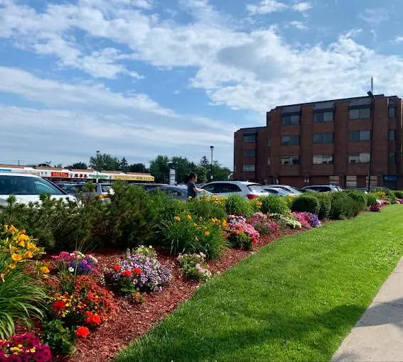 Finch Midland Dental