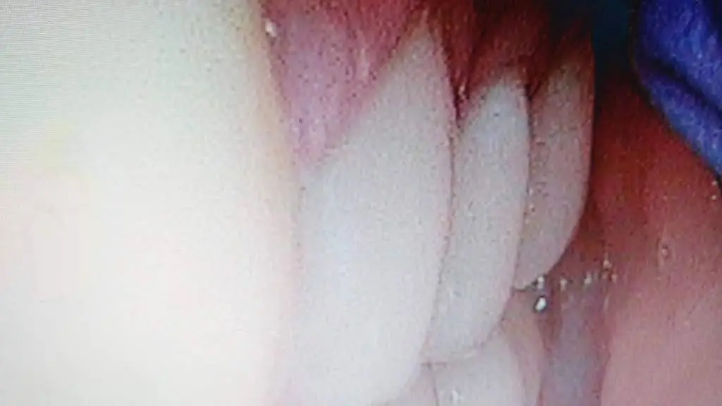 Kingwest Dental