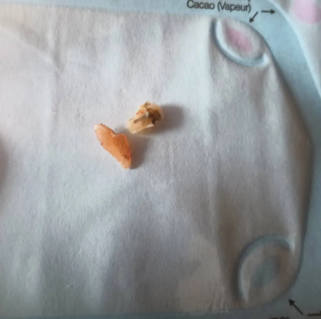 2K Dental