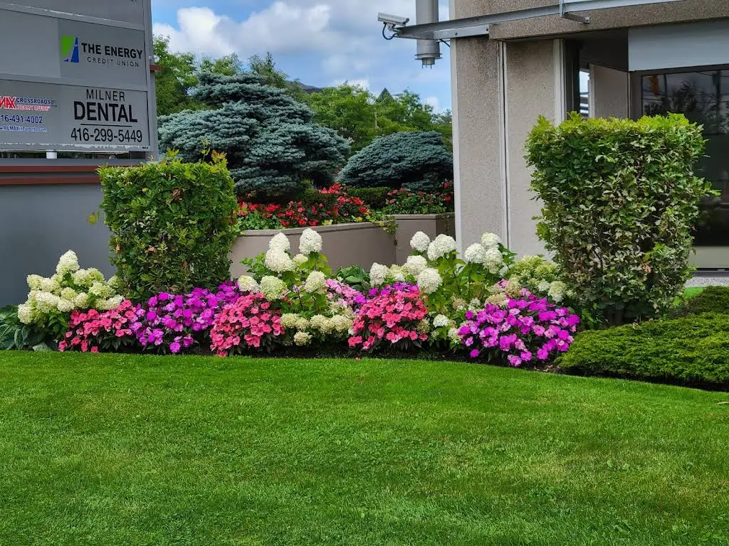 Milner Dental Care - Professional dental clinic exterior with modern facilities