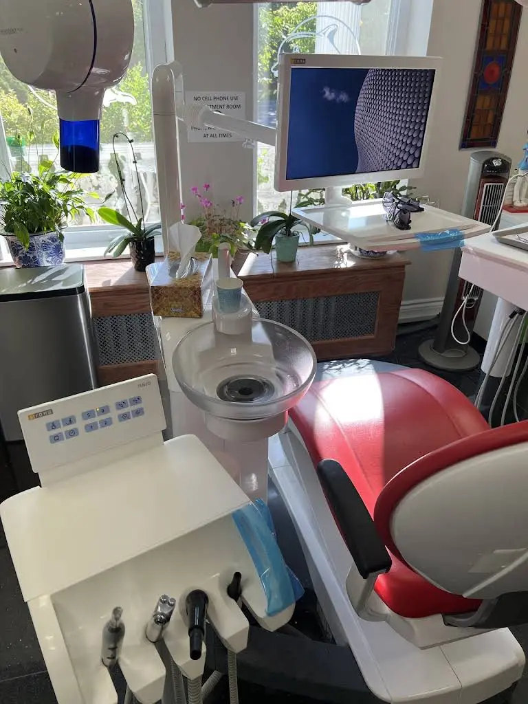 Dolphin Dental