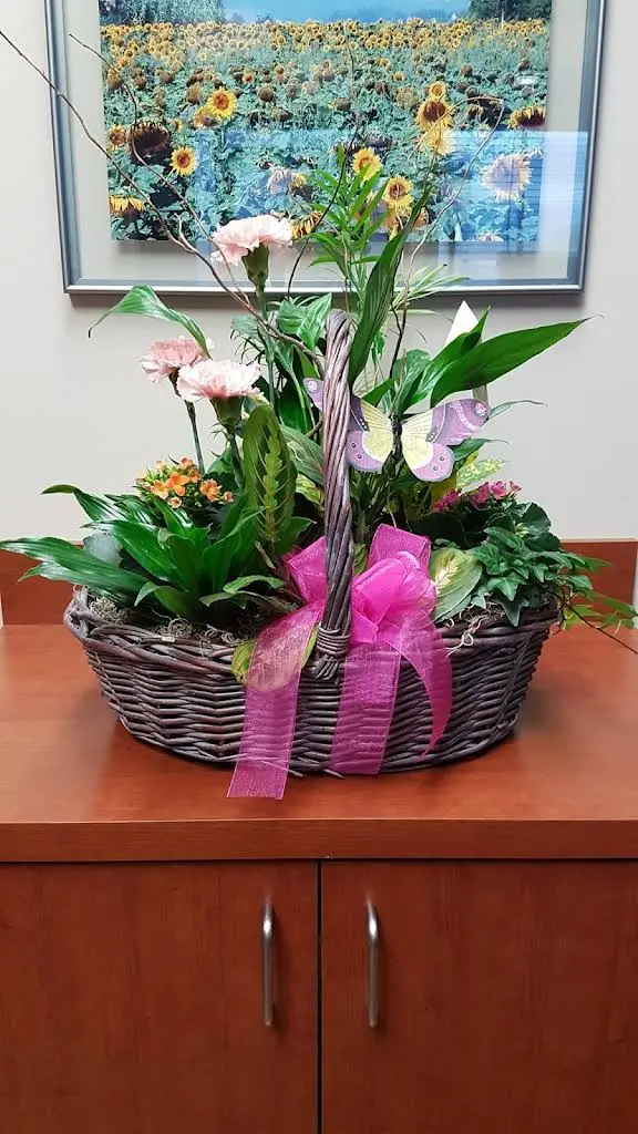Warden Eglinton Dental Centre