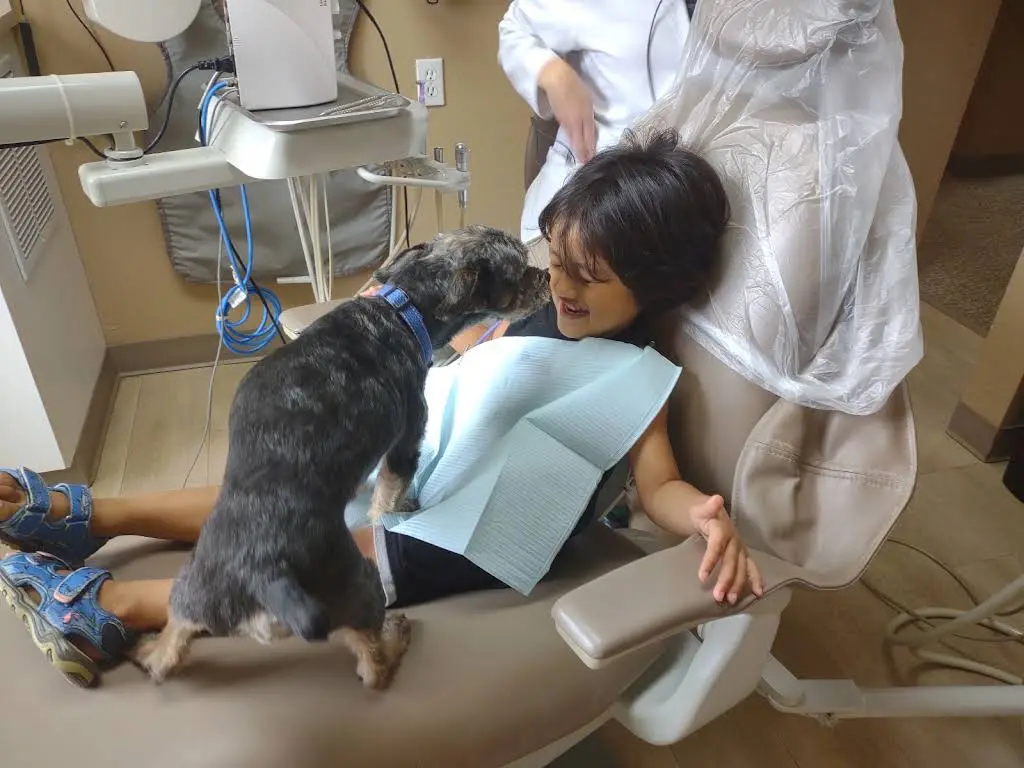 Blossom Park Dental Care