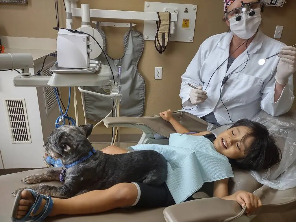 Blossom Park Dental Care