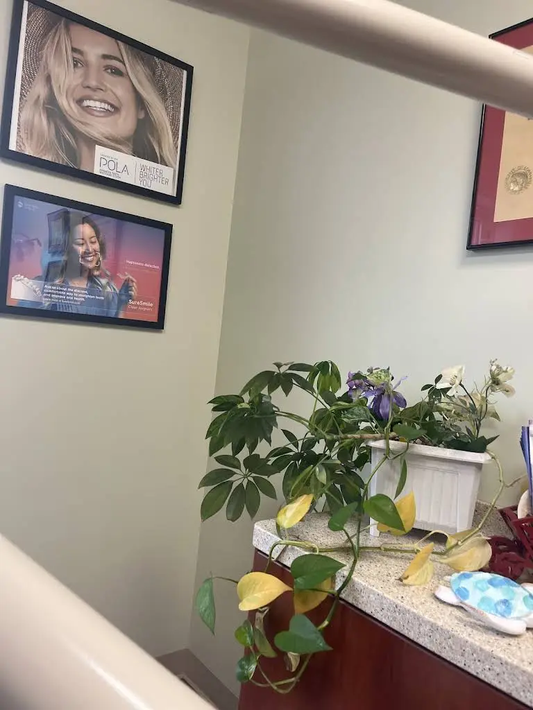 Main Dental