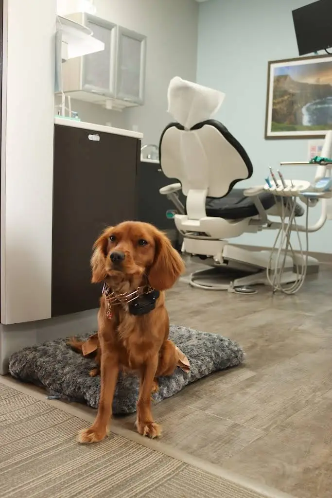 Donnelly Family Dentistry