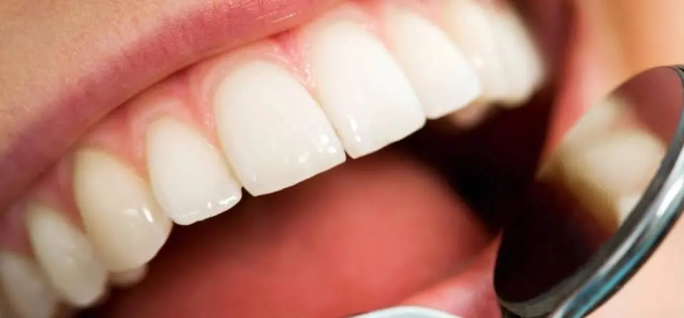 Kip C. Oldacre, DDS