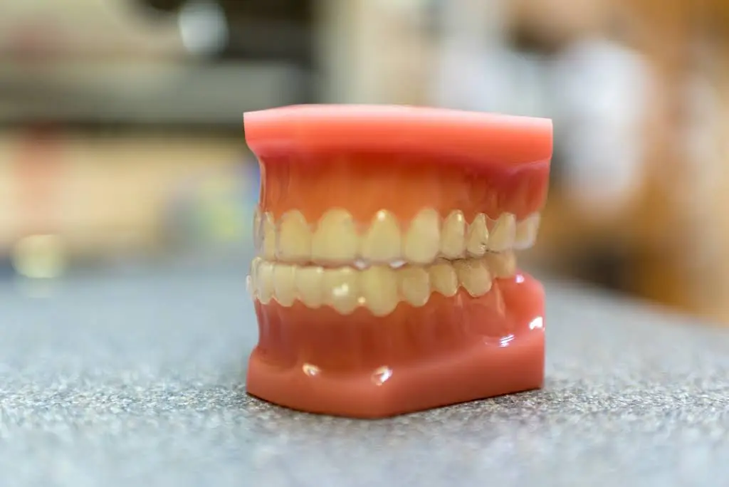 Solon Dental Excellence