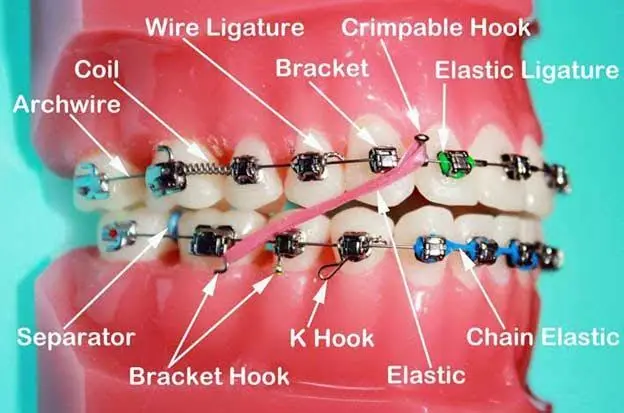 DR.SHALTONI SMILE FOR LIFE