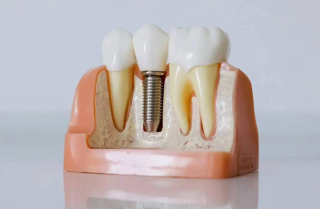 Maral Dental Clinic