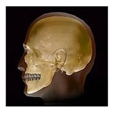 Oral & Maxillofacial Surgery Associates, Inc.