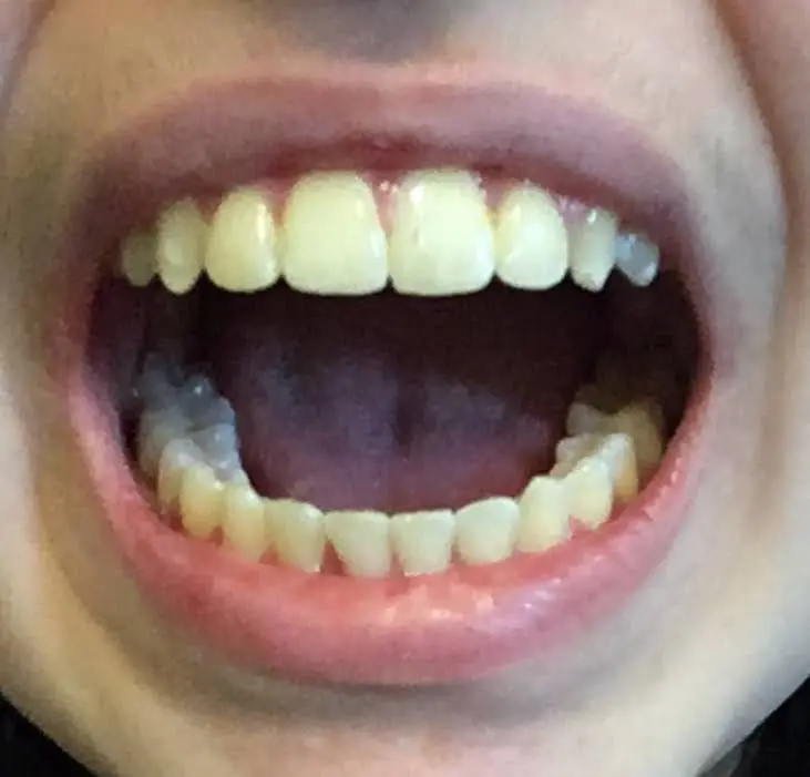 SM Orthodontics